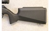 Springfield Armory ~ 2020 Rimfire Target ~ .22 LR - 9 of 10