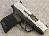 SIG Sauer ~ P365 ~ 9mm Luger