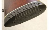 Winchester ~ Model 70 ~ .300 Win Mag - 10 of 10