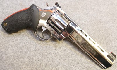 Taurus ~ Raging Bull ~ .45 LC