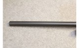 Remington ~ 597 ~ .22LR - 7 of 10