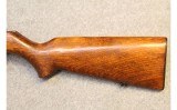 IMC2 Romania ~ M1969 ~ .22LR - 9 of 11