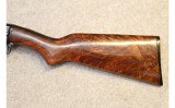 Winchester ~ Model 61 ~ .22 WMRF - 9 of 11
