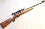 Mossberg ~ 151M-B ~ .22 LR - 1 of 10
