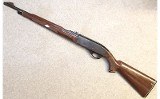 Remington ~ Nylon 66 ~ .22 LR - 2 of 10