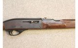 Remington ~ Nylon 66 ~ .22 LR - 4 of 10
