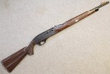 Remington ~ Nylon 66 ~ .22 LR - 1 of 10