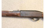 Remington ~ Nylon 66 ~ .22 LR - 8 of 10