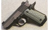 Kimber ~ Micro CSE ~ .380 ACP - 2 of 3