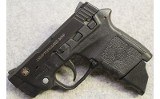 S&W ~ Bodyguard ~ .380 ACP - 2 of 3