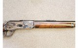 Chaparral ~ 1876 ~ .40-60 WCF - 4 of 10