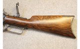 Chaparral ~ 1876 ~ .40-60 WCF - 9 of 10