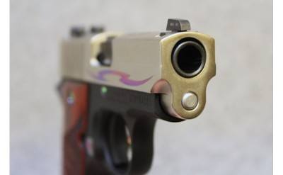 SIG Sauer ~ P238 ~ .380 Auto - Image 3 of 3