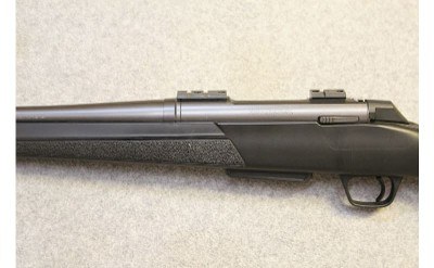 Winchester ~ XPR ~ .350 Legend - Image 8 of 10