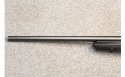 Winchester ~ XPR ~ .350 Legend - Image 7 of 10