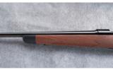 Winchester Model 70 Cabela's .257 Rob, New Guns - 6 of 7