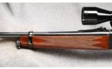 Browning Model BLR 81 .243 Win - 7 of 7