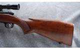 Winchester Model 70 Pre-'64 .220 Swift - 7 of 8