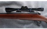 Winchester Model 70 Pre-'64 .243 Win - 4 of 7
