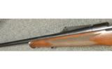 Winchester Model 70 7mm Rem Mag - 5 of 7