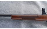 Browning T-Bolt .17 HMR - 6 of 7