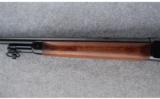 Winchester Model 71 .348 W.C.F. - 6 of 7