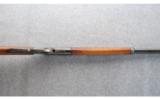 Marlin Model 1881 in .32-40 - 8 of 9