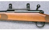 Winchester Model 70 Featherweight ~ .280 Rem. - 7 of 9