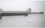 Colt ~ Sporter Match HBAR ~ 5.56mm NATO - 4 of 9