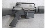 Colt ~ Sporter Match HBAR ~ 5.56mm NATO - 3 of 9