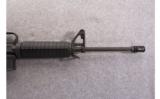 Colt ~ Sporter Lightweight ~ 5.56mm NATO - 4 of 9