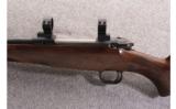Mauser ~ M12 ~ .308 Win. - 8 of 9