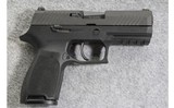 Sig Sauer ~ P320 ~ .45 ACP - 1 of 2
