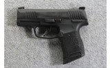 Sig Sauer ~ P365 ~ 9mm - 2 of 3
