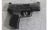 Sig Sauer ~ P365 ~ 9mm - 1 of 3