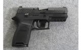 Sig Sauer ~ P320 ~ 9mm - 1 of 3