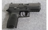 Sig Sauer ~ P320 ~ 9mm - 1 of 3