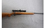 Remington ~ 788 ~ .243 Win. - 1 of 10