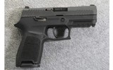 Sig Sauer ~ P320 ~ 9mm