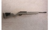 Ruger ~ 10/22 ~ .22 LR - 1 of 11