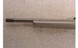 Ruger ~ 10/22 ~ .22 LR - 7 of 11