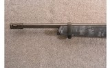 Ruger ~ 10/22 ~ .22 LR - 7 of 10