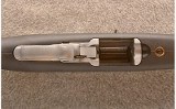 Ruger ~ 10/22 Carbine ~ .22 LR - 6 of 10