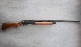 Winchester ~ SXP ~ 12 gauge