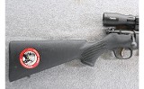 Savage Arms ~ 93R17 ~ .17 HMR - 2 of 11