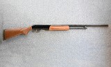 Mossberg ~ 500 ~ .410 Bore