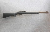 Ruger ~ 10/22 ~ .22 LR