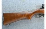 Ruger ~ 10/22 ~ .22 LR - 2 of 10