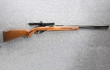 Marlin ~ 60 ~ .22 LR - 1 of 10