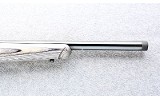 Ruger ~ American ~ .22 WMR - 4 of 12